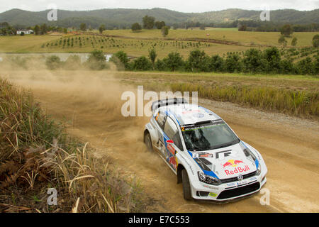 Coffs Harbour, Australie, samedi, 13 Septembre, 2014. Jari-Matti Latvala en action au cours de l'étape spéciale 9 de rallye d'Australie. Latvala et Miikka Anttila, roulant pour Volkswagen Motorsport World Rally Team a réussi à obtenir la deuxième place du classement sur le temps global d'après 12 étapes. Banque D'Images