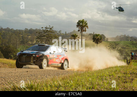 Coffs Harbour, Australie, samedi, 13 Septembre, 2014. Thierry Neuville à travers l'étape spéciale 12 avec dommages à son i20 Hyundai Motorsport World Rally Car. Après une première journée décevante, Neuville a réussi à se frayer un chemin jusqu'à la 7e place sur le classement général après 12 étapes. Banque D'Images