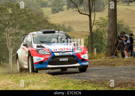 Coffs Harbour, Australie, samedi, 13 Septembre, 2014. Robert Kubica au volant pour RK M-Sport World Rally Team en amont des pouvoirs spéciaux au cours de l'étape 10 du Rallye d'Australie. Après 12 étapes, Kubica a réussi à obtenir la 10e place sur le classement de temps. Banque D'Images