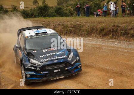 Coffs Harbour, Australie, samedi, 13 Septembre, 2014. Mikko Hirvonen, roulant pour M-Sport World Rally Team en action lors de l'étape spéciale 9 de rallye d'Australie. Après 12 étapes, Hirvonen et son co-pilote Jarmo Lehtinen a réussi à obtenir la cinquième place du classement sur le temps global. Banque D'Images