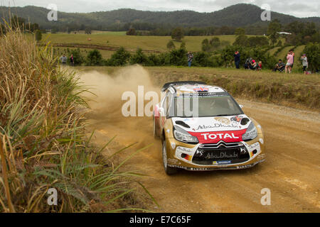 Coffs Harbour, Australie, samedi, 13 Septembre, 2014. Kris Meeke en action au cours de l'étape spéciale 9 de rallye d'Australie. Meeke, roulant pour Abu Dhabi Citroën Total World Rally Team a réussi à fininsh les 12 premières étapes de l'événement en troisième place au classement général. Banque D'Images