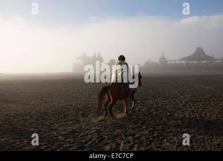 Temple de Pura Luhur potentiel au pied du volcan Bromo fixant dans la brume, avec un cheval sur le chemin de la volcan Bromo Banque D'Images