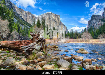 El Capitan domine la vallée. Vue depuis la rivière Merced, Yosemite National Park, Californie. USA Banque D'Images