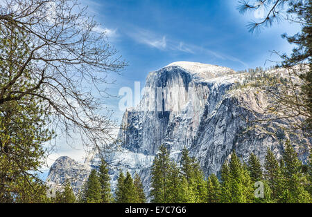 Demi dôme au-dessus de la cime des arbres des pics vus de la vallée ci-dessous. Yosemite National Park, en Californie. Banque D'Images