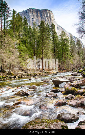 El Capitan domine la vallée. Vue depuis la rivière Merced, Yosemite National Park, Californie. USA Banque D'Images