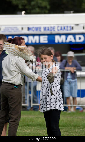 Vapeur & country fayre Bedfordshire, ancien directeur de l'Park, Shuttleworth, UK. La fauconnerie avec des enfants de la foule. Crédit : Scott Carruthers/Alamy Live News Banque D'Images