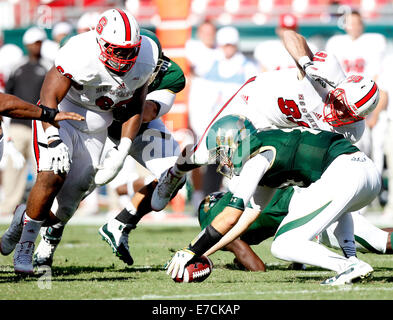 13 septembre 2014 - City, Floride, États-Unis - OCTAVIO JONES | fois .South Florida Bulls quarterback Mike White (14) récupère l'tâtonné pendant le deuxième trimestre chez Raymond James Stadium le samedi 13 septembre, 2014. N.C. La Floride du sud de l'État vaincu 49 à 17. (Crédit Image : © Octavio Jones/Tampa Bay Times/Zuma sur le fil) Banque D'Images