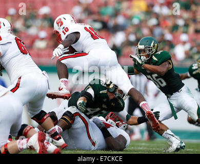 13 septembre 2014 - City, Floride, États-Unis - OCTAVIO JONES | fois .North Carolina State Wolfpack running back Schadrac Thornton (10) lance la balle pour obtenir le premier au deuxième trimestre chez Raymond James Stadium le samedi 13 septembre, 2014. N.C. La Floride du sud de l'État vaincu 49 à 17. (Crédit Image : © Octavio Jones/Tampa Bay Times/Zuma sur le fil) Banque D'Images