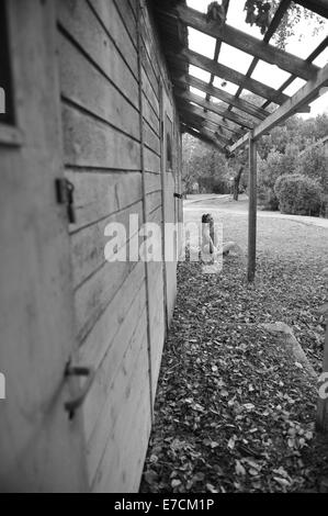 Un portrait d'une jeune femme / teen, assise par une maison abandonnée. Kibbutz Ha'solelim, Israël Banque D'Images