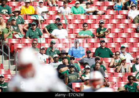 13 septembre 2014 - City, Floride, États-Unis - OCTAVIO JONES | fois .South Florida Bulls fans sont rares pendant le match contre N.C. Etat au Stade Raymond James le samedi 13 septembre, 2014. N.C. La Floride du sud de l'État vaincu 49 à 17. (Crédit Image : © Octavio Jones/Tampa Bay Times/Zuma sur le fil) Banque D'Images