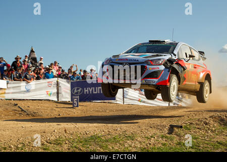 Coffs Harbour, Australie, dimanche, 14 Septembre, 2014. Australian Chris Atkinson en action sur l'étape spéciale 20 du Rallye d'Australie. Atkinson, roulant pour Toyota Motorsport World Rally Team a réussi à terminer l'événement en onzième dans l'ensemble. Credit : Russell Hunter/Alamy Live News Banque D'Images