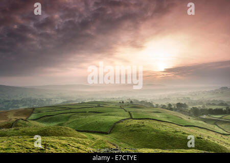 La vue sur un Teesdale Misty au lever du soleil à partir de l'ancien tumulus de Kirkcarrion, Lunedale Teesdale, comté de Durham, Angleterre,. Banque D'Images