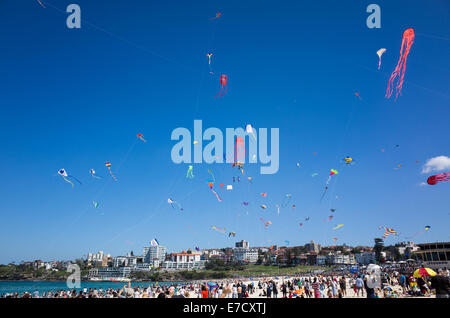 Les gens avec des cerfs-volants au Festival Bondi des vents, 2014 Banque D'Images