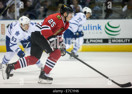 London, Ontario, USA. 13 septembre 2014 Matthew Carey (25) de les Blackhawks de Chicago suit le jouer pendant un match entre les Blackhawks de Chicago et les Maple Leafs de Toronto à la LNH 2014 Tournoi Rookie joué au John Labatt Centre. Les Maple Leafs a gagné le match 5-2. Credit : Mark Spowart/Alamy Live News Banque D'Images