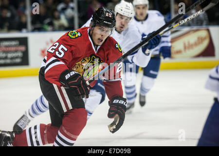 London, Ontario, USA. 13 septembre 2014 Matthew Carey (25) de les Blackhawks de Chicago suit le jouer pendant un match entre les Blackhawks de Chicago et les Maple Leafs de Toronto à la LNH 2014 Tournoi Rookie joué au John Labatt Centre. Les Maple Leafs a gagné le match 5-2. Credit : Mark Spowart/Alamy Live News Banque D'Images