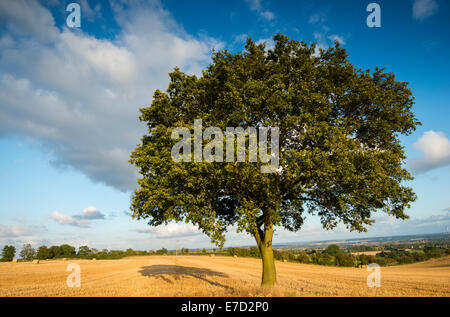 Un soir d'été à Stanton par Dale, Derbyshire, Angleterre, Royaume-Uni Banque D'Images