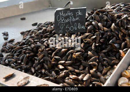 Marché de poissons à Courseulles sur Mer en Normandie, France UE Banque D'Images