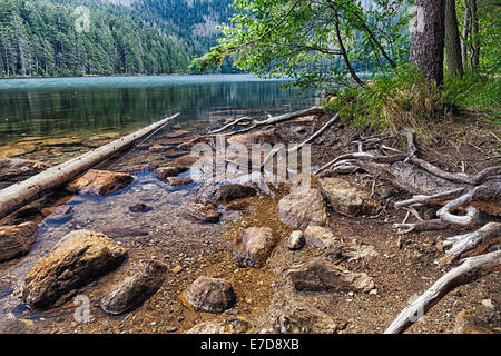 Black Lake glaciaire entourée par la forêt en Bohême du Sud Banque D'Images