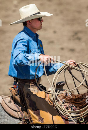 Cowboy à cheval en concurrence dans le dispositif de retenue de l'événement au lasso, Chaffee County Fair & Rodeo Banque D'Images