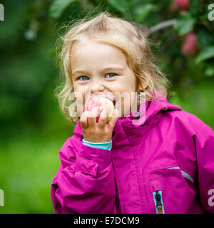 Petite fille dans le jardin d'apple Banque D'Images