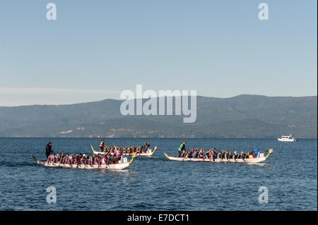 Bigfork, Montana, USA. 14Th Sep 2014. Racers paddle sur la fin au cours de l'Assemblée Montana Dragon Boat Festival dans Bigfork, Mont., Dimanche, Septembre 14, 2014. Chaque 46 pieds bateau dragon détient 20 pagayeurs, un batteur et le tube de direction. L'événement soulève des dizaines de milliers de dollars pour les organismes à but non lucratif et attire les concurrents des États-Unis et du Canada. Crédit : Thomas Lee/Alamy Live News Banque D'Images