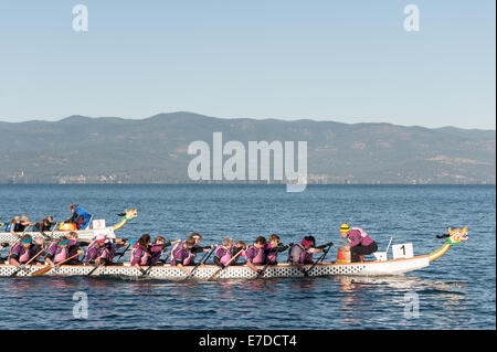 Bigfork, Montana, USA. 14Th Sep 2014. Racers paddle sur la fin au cours de l'Assemblée Montana Dragon Boat Festival dans Bigfork, Mont., Dimanche, Septembre 14, 2014. Chaque 46 pieds bateau dragon détient 20 pagayeurs, un batteur et le tube de direction. L'événement soulève des dizaines de milliers de dollars pour les organismes à but non lucratif et attire les concurrents des États-Unis et du Canada. Crédit : Thomas Lee/Alamy Live News Banque D'Images