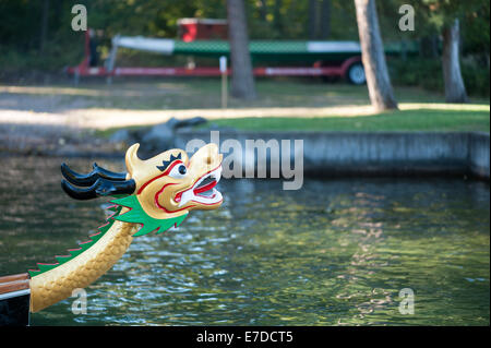 Bigfork, Montana, USA. 14Th Sep 2014. Chacun des 46 pieds de bateaux dragons en usage à la Montana Dragon Boat Festival dans Bigfork, Mont., Dimanche, Septembre 14, 2014, est décoré d'une tête de dragon et de la queue. Les bateaux sont de style Hong-Kong canots qui détiennent 20 pagayeurs chacune. Crédit : Thomas Lee/Alamy Live News Banque D'Images