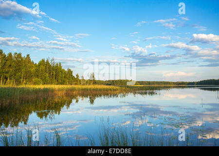 Lake in the forest, summer landscape Banque D'Images