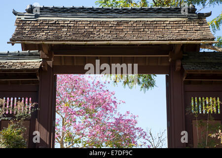 Le japonais jardin de l'amitié à l'intérieur de Balboa Park, San Diego, Californie Banque D'Images