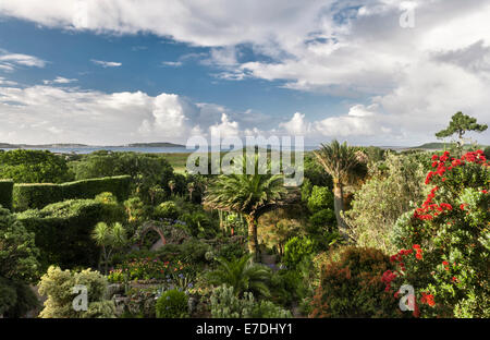 Jardin de l'abbaye de Tresco, Îles Scilly, au Royaume-Uni. Vue sur le jardin de l'abbaye en direction de St Mary's, St Agnes et Samson sur l'horizon Banque D'Images