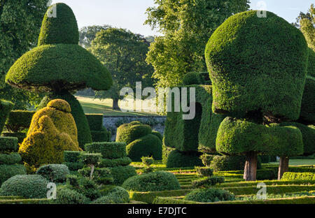 Levens Hall, Cumbria, Royaume-Uni. A la fin de 16c Manor House célèbre pour son jardin topiaire excentrique, appartenant à la famille Bagot Banque D'Images