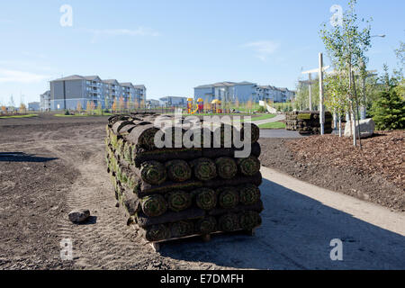 Palette de feuilles de gazon en construction site, Fort McMurray, Alberta, Canada Banque D'Images