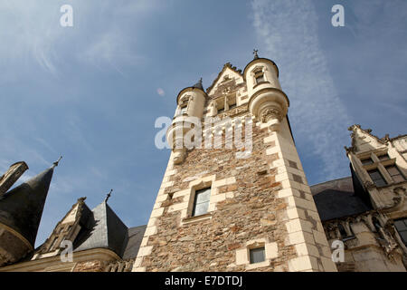 Chateau le pin, Anjou, france Banque D'Images