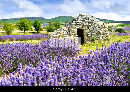 Dmall caban. Coucher du soleil d'été en Provence, France. Banque D'Images