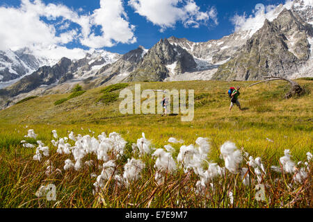 La Dent du Géant dans le massif du Mont Blanc, en Italie, avec des promeneurs, faisant le tour du Mont Blanc. Banque D'Images