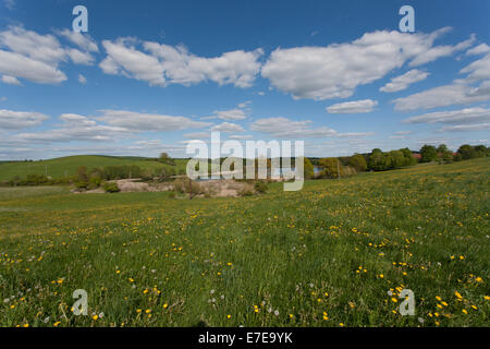 Prairie de printemps au lac mellensee, funkenhagen, boitzenburger land, uckermark, Brandenburg, Allemagne Banque D'Images