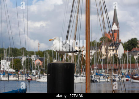 Mouette sur perche, vue sur-jürgensby de Flensburg avec church st. Jürgen, Schleswig-Holstein, Allemagne Banque D'Images
