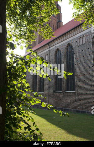 Cathédrale de st. Peter à schleswig, Schleswig-Holstein, district de Flensburg Schleswig-Holstein, Allemagne Banque D'Images