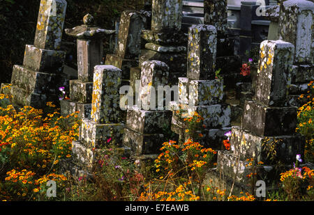 Pierres tombales ANCIENNES ET CIMETIÈRE AVEC DES MASSES DE FLEURS AU JAPON Banque D'Images