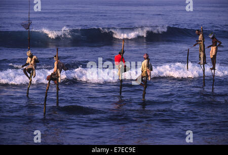 Pêcheurs SUR PILOTIS POUR LA PÊCHE DE PETITS POISSONS EN DÉBUT DE MATINÉE LE SRI LANKA Banque D'Images