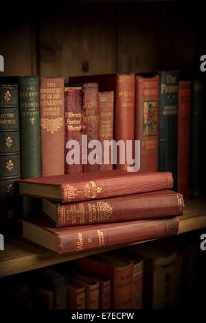 Vintage paperback books sur une étagère en bois. Banque D'Images