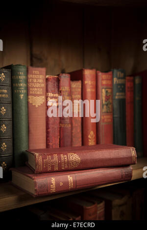 Vintage paperback books sur une étagère en bois. Banque D'Images