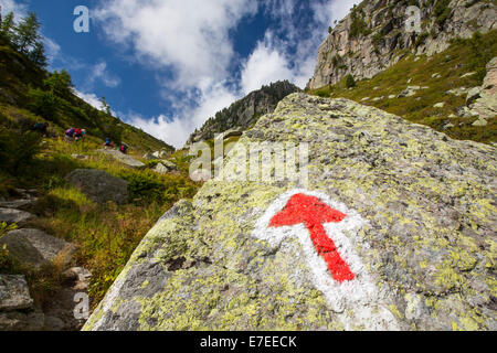 Un pointeur sur le rocher dans le Val d'Arpette dans les alpes suisses sur le Tour du Mont Blanc chemin. Banque D'Images