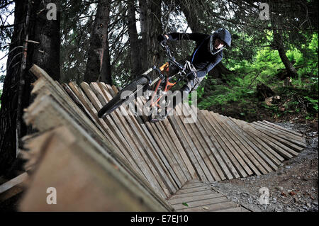 Les promenades en vélo de montagne de descente grand épicéa sentier au Resort de Alyeska Girdwood, Alaska juin 2011. Banque D'Images