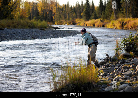 Femme jette pour truites sauvages sur Deep Creek sur l'ouest de la Péninsule Kenai, Alaska Septembre 2009. S'écoulant dans Cook Inlet au nord d'Homère, les eaux de Deep Creek et la rivière d'accueillir la fin de l'automne s'exécute de truites sauvages. Banque D'Images