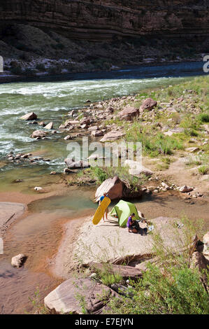 Les randonneurs setup campement sur une plage le long de la rivière Colorado dans le Grand Canyon en dehors de Fredonia, Arizona Novembre 2011. Les 21,4 milles boucle démarre à la Bill Hall sur le sentier Rive Nord et descend, 2000 pieds de 2,5 milles à travers les grès de Coconino le niveau de l'Esplanada descend ensuite plus loin dans la partie inférieure de canyon à travers une pause au 400-foot-tall Redwall pour accéder à Vallée Surprise. Les randonneurs se connecter la rivière Thunder et Tapeats Creek à un itinéraire le long de la rivière Colorado et sortir Deer Creek. Banque D'Images