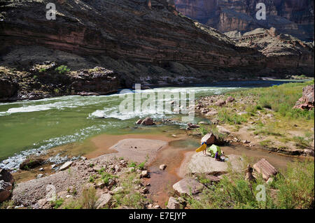 Les randonneurs setup campement sur une plage le long de la rivière Colorado dans le Grand Canyon en dehors de Fredonia, Arizona Novembre 2011. Les 21,4 milles boucle démarre à la Bill Hall sur le sentier Rive Nord et descend, 2000 pieds de 2,5 milles à travers les grès de Coconino le niveau de l'Esplanada descend ensuite plus loin dans la partie inférieure de canyon à travers une pause au 400-foot-tall Redwall pour accéder à Vallée Surprise. Les randonneurs se connecter la rivière Thunder et Tapeats Creek à un itinéraire le long de la rivière Colorado et sortir Deer Creek. Banque D'Images