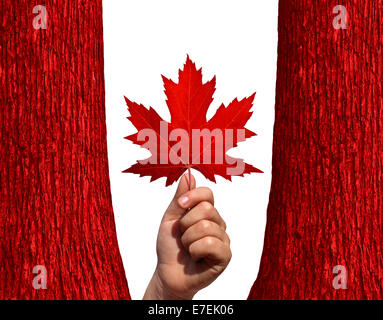 Concept automne canadien comme une main tenant une feuille d'érable rouge entre deux troncs d'arbre rouge isolé sur fond blanc comme un symbole du Canada et de l'environnement. Banque D'Images