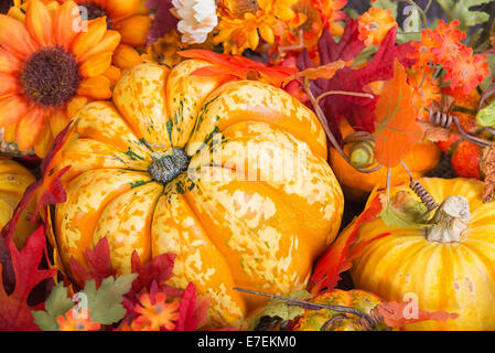 Libre d'un affichage coloré d'automne avec un fruit squash entouré de fleurs et des calebasses décoratives Banque D'Images