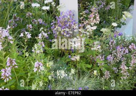 Un lit de fleurs de jardin cottage anglais avec Astilbe Sprite et Geranium Rozanne fleurs poussant dans un Royaume-Uni frontalier Banque D'Images